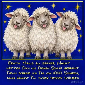 Drei Schafe strecken die Zunge heraus vor blauem Sternenhimmel, Text: Erotik Mails zu später Nacht hätten Dich um Deinen Schlaf gebracht. Drum schreib ich Dir von 1000 Schafen, dann kannst Du sicher besser schlafen…