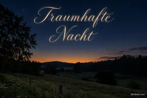 Dunkle Landschaft unter dem letzten Abendrot, Text: Traumhafte Nacht