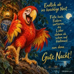 Roter Ara lacht mit ausgebreiteten Flügeln auf einem Ast in der Nacht, Text: Endlich ab ins kuschlige Nest … Füße hoch, Federn sortieren, die Lider stehen eh schon auf Halbmast … nun denn … Gute Nacht!