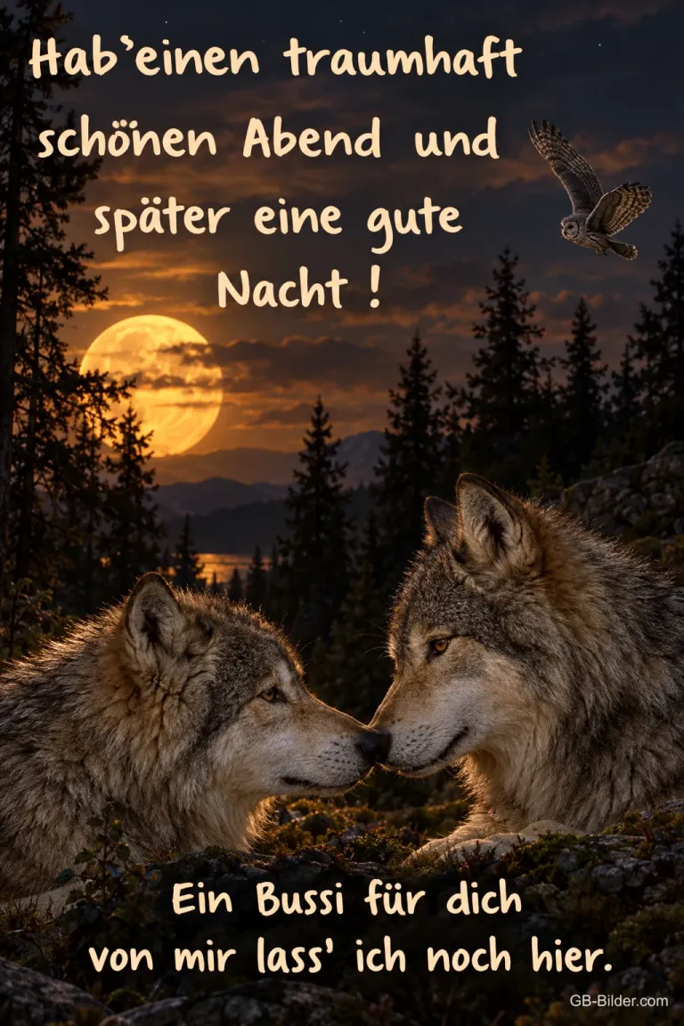 Zwei Wölfe im Mondschein, Text: Hab' einen traumhaft schönen Abend und später eine gute Nacht
