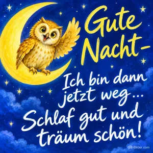 Eule winkt von einer Mondsichel unter dem Sternenhimmel, Text: Gute Nacht – Ich bin dann jetzt weg … Schlaf gut und träum schön!