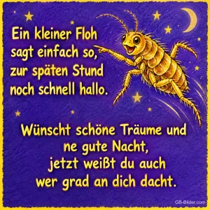 Lachender Floh winkt unter dem Sternenhimmel, Text: Ein kleiner Floh sagt einfach so, zur späten Stund noch schnell hallo. Wünscht schöne Träume und ne gute Nacht, jetzt weißt du auch wer grad an dich dacht.