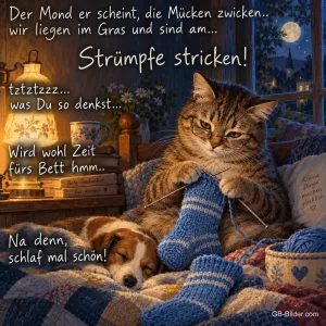 Strickende Katze, lustiger Gute-Nacht-Spruch, Text: Der Mond er scheint, die Mücken zwicken