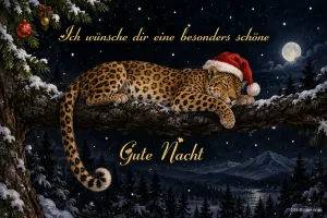 Schlafender Leopard mit Weihnachtsmütze auf einem Ast, Text: Ich wünsche dir eine besonders schöne Gute Nacht