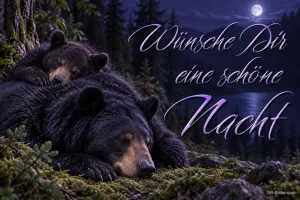 Schlafende Bärenmutter mit Jungem im Wald, Text: Wünsche Dir eine schöne Nacht