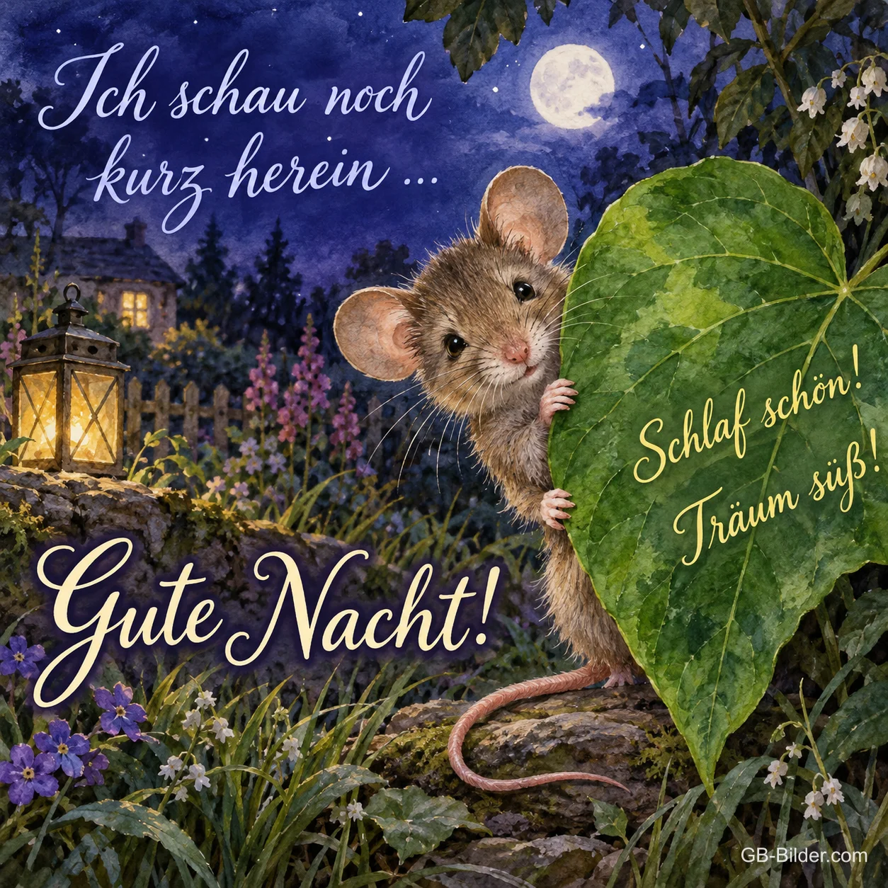 Maus schaut hinter einem großen Blatt hervor im Mondlicht, Text: Ich schau noch kurz herein … Gute Nacht! Schlaf schön! Träum süß!