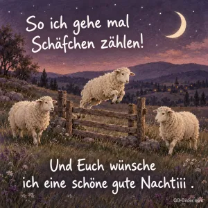 Schafe am Zaun, Text: So ich gehe mal Schäfchen zählen