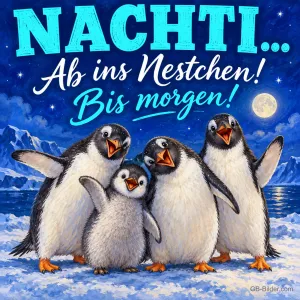 Vier Pinguine stehen fröhlich im Schnee unter dem Mond, Text: NACHTI... Ab ins Nestchen! Bis morgen!