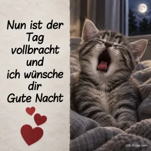 Gähnendes Kätzchen, Text: Nun ist der Tag vollbracht und ich wünsche dir Gute Nacht