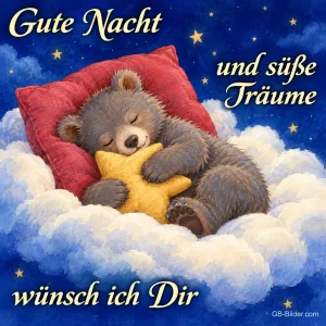 Schlafendes Bärenjunges, Text: Gute Nacht und süße Träume wünsch ich Dir