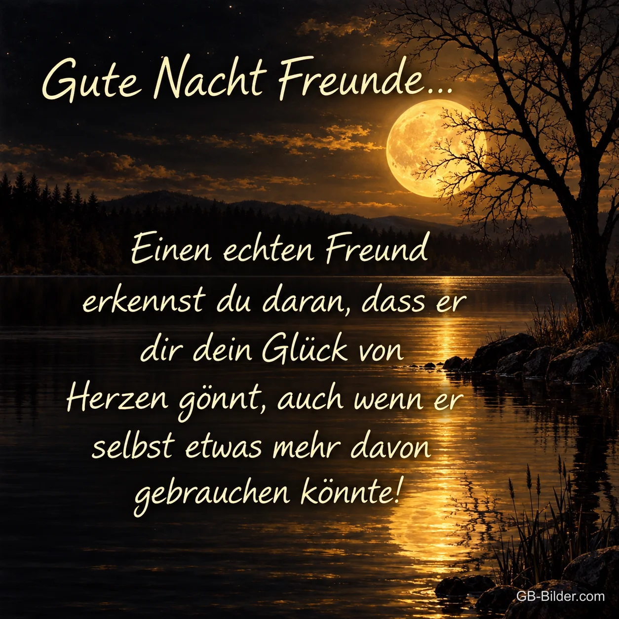 Vollmond über dem See, Spruch über Freundschaft, Text: Gute Nacht Freunde