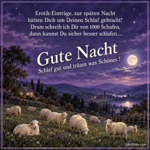 Schafe bei Vollmond, lustiger Gute-Nacht-Spruch, Text: Erotik-Einträge, zur späten Nacht hätten Dich um Deinen Schlaf gebrach