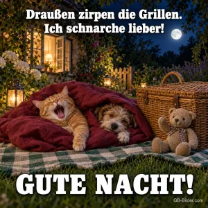 Gähnende Katze und Hund unter einer roten Decke im Garten, Teddy, Text: Draußen zirpen die Grillen. Ich schnarche lieber! – GUTE NACHT!