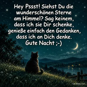 Katze sitzt auf einem Hügel unter dem Sternenhimmel, Text: Hey Pssst! Siehst Du die wunderschönen Sterne am Himmel? Sag keinem, dass ich sie Dir schenke, genieße einfach den Gedanken, dass ich an Dich denke. Gute Nacht ;-)