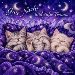 Drei Kätzchen schlafen unter einer Decke mit Monden, Text: Gute Nacht und süße Träume
