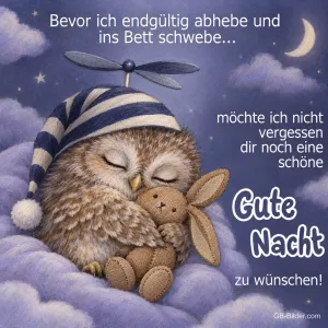 Eule mit Schlafmütze und Propeller kuschelt mit einem Stoffhasen, Text: Bevor ich endgültig abhebe und ins Bett schwebe… möchte ich nicht vergessen, dir noch eine schöne Gute Nacht zu wünschen!