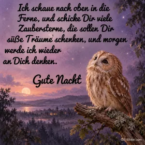 Waldkauz auf einem Ast über einer Landschaft im violetten Abendlicht, Text: Ich schaue nach oben in die Ferne, und schicke Dir viele Zaubersterne, die sollen Dir süße Träume schenken, und morgen werde ich wieder an Dich denken. Gute Nacht