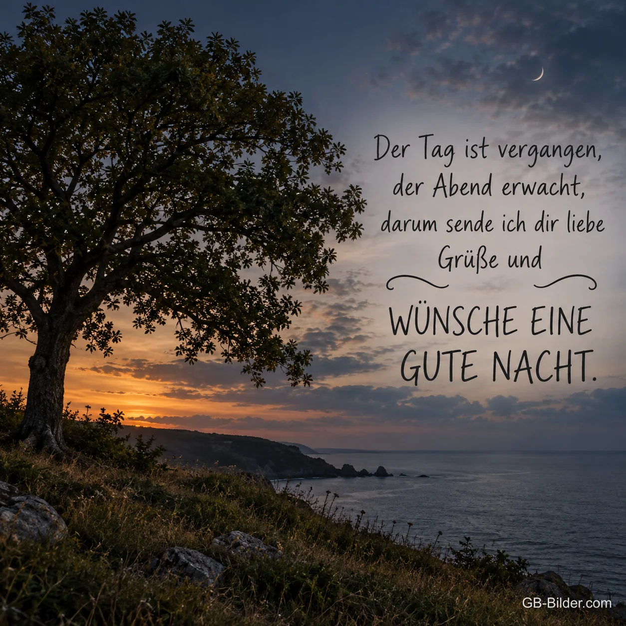 Einzelner Baum auf einer Klippe über dem Meer im Abendrot, Text: Der Tag ist vergangen, der Abend erwacht, darum sende ich dir liebe Grüße und wünsche eine gute Nacht.