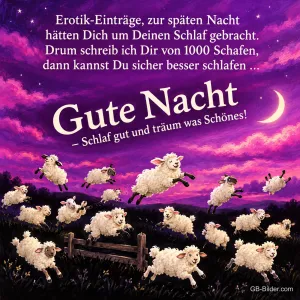 Viele Schafe springen nachts über einen Zaun unter lila Himmel und Mond, Text: Erotik-Einträge, zur späten Nacht hätten Dich um Deinen Schlaf gebracht. Drum schreib ich Dir von 1000 Schafen, dann kannst Du sicher besser schlafen … Gute Nacht – Schlaf gut und träum was Schönes!