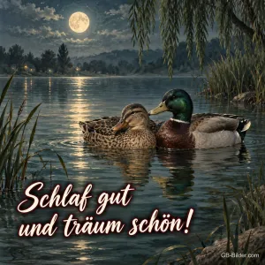 Stockenten bei Vollmond, Text: Schlaf gut und träum schön