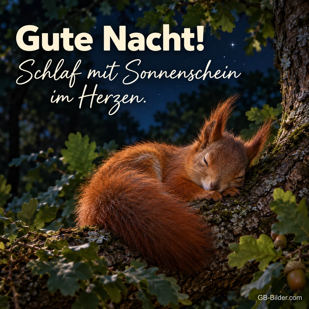 Eichhörnchen schläft zusammengerollt auf einem Ast, Text: Gute Nacht! – Schlaf mit Sonnenschein im Herzen.