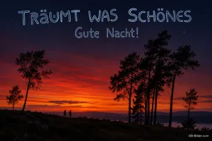 Silhouetten von Bäumen vor rotem Abendhimmel, Text: TRÄUMT WAS SCHÖNES – Gute Nacht!