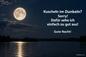 Vollmond spiegelt sich in einem dunklen See, Text: Kuscheln im Dunkeln? Sorry! Dafür sehe ich einfach zu gut aus! Gute Nacht!