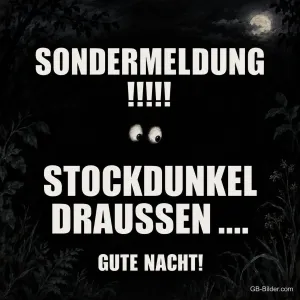 Leuchtende Augen in der Dunkelheit, Text: Sondermeldung! Stockdunkel draußen … Gute Nacht!