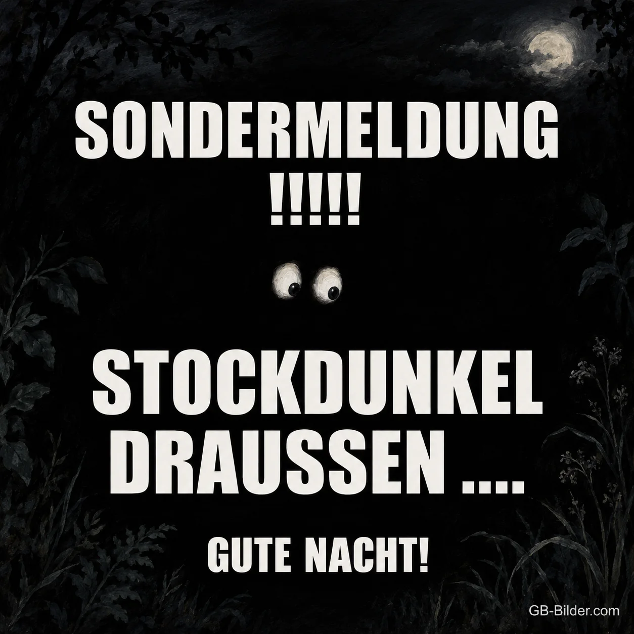Leuchtende Augen in der Dunkelheit, Text: Sondermeldung! Stockdunkel draußen … Gute Nacht!