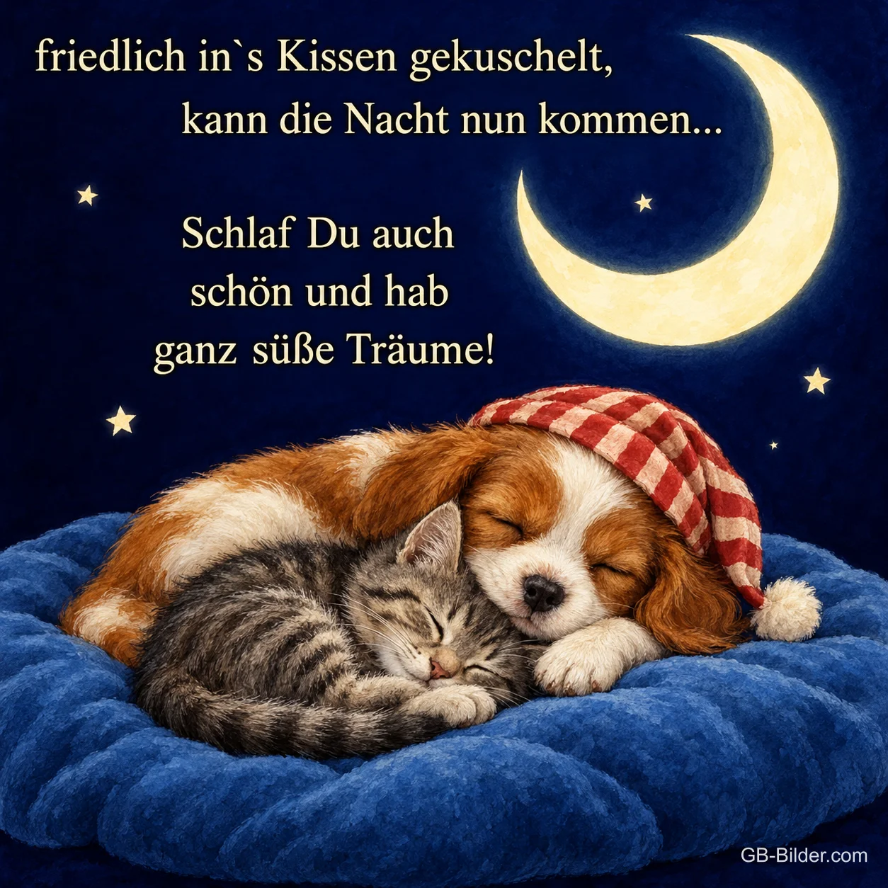 Welpe mit Zipfelmütze und Kätzchen schlafen auf einem Kissen unter dem Mond, Text: Friedlich ins Kissen gekuschelt, kann die Nacht nun kommen. Schlaf du auch schön!