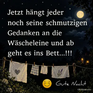 Wäscheleine im nächtlichen Garten unter dem Mond, Text: Jetzt hängt jeder noch seine schmutzigen Gedanken an die Wäscheleine und ab geht es ins Bett! Gute Nacht