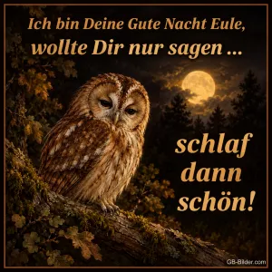 Waldkauz im Mondschein, Text: Ich bin Deine Gute Nacht Eule, wollte Dir nur sagen