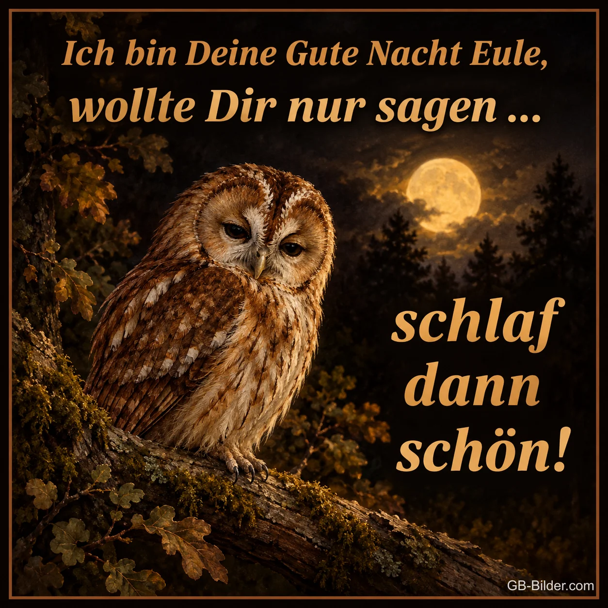 Waldkauz im Mondschein, Text: Ich bin Deine Gute Nacht Eule, wollte Dir nur sagen
