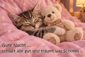 Kätzchen schläft an einen Teddy gekuschelt, Text: Gute Nacht … schlaft alle gut und träumt was Schönes