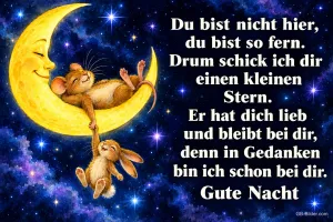 Maus liegt auf einer Mondsichel und hält einen Hasen, Text: Du bist nicht hier, du bist so fern. Drum schick ich dir einen kleinen Stern. Er hat dich lieb und bleibt bei dir, denn in Gedanken bin ich schon bei dir. Gute Nacht