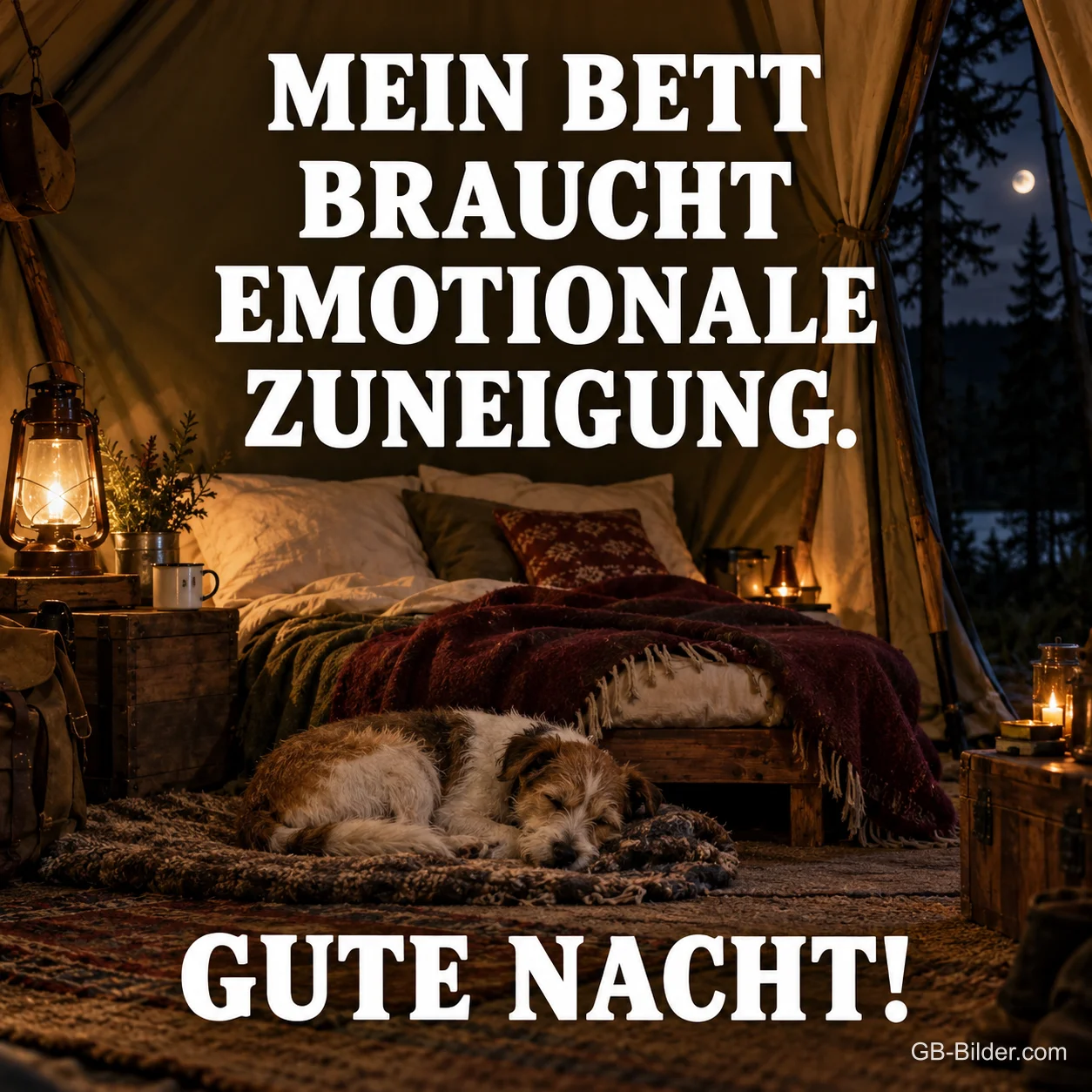 Schlafender Hund vor dem Bett, lustiger Spruch, Text: MEIN BETT BRAUCHT EMOTIONALE ZUNEIGUNG