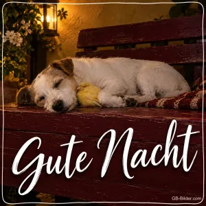 Schlafender Hund mit Vögelchen auf einer Bank, Text: Gute Nacht