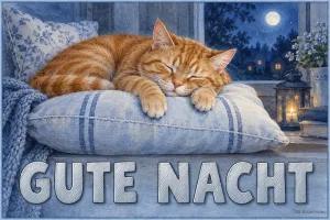 Schlafender roter Kater auf einem Kissen, Text: Gute Nacht