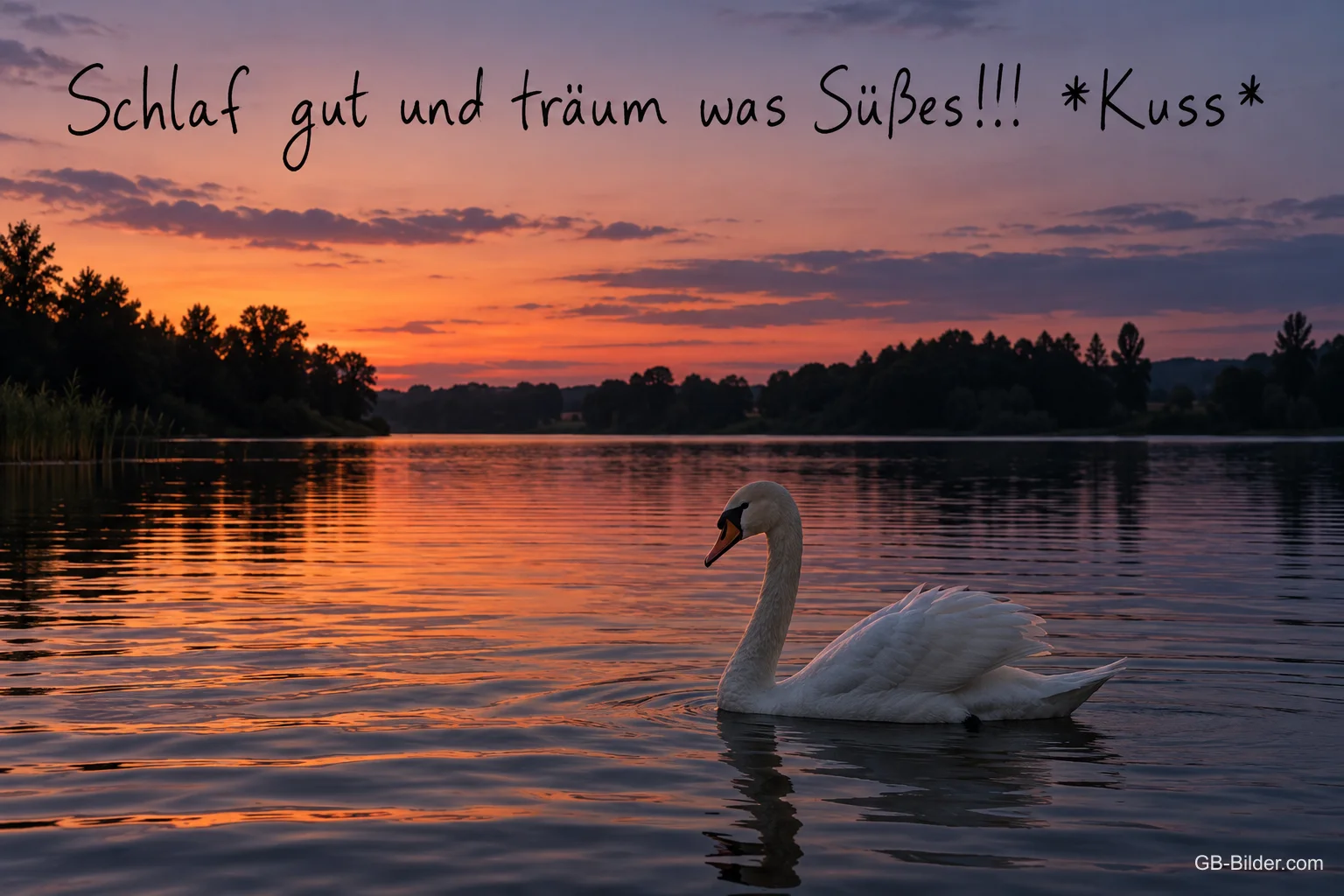Schwan auf einem See im Abendrot, Text: Schlaf gut und träum was Süßes!!! Kuss