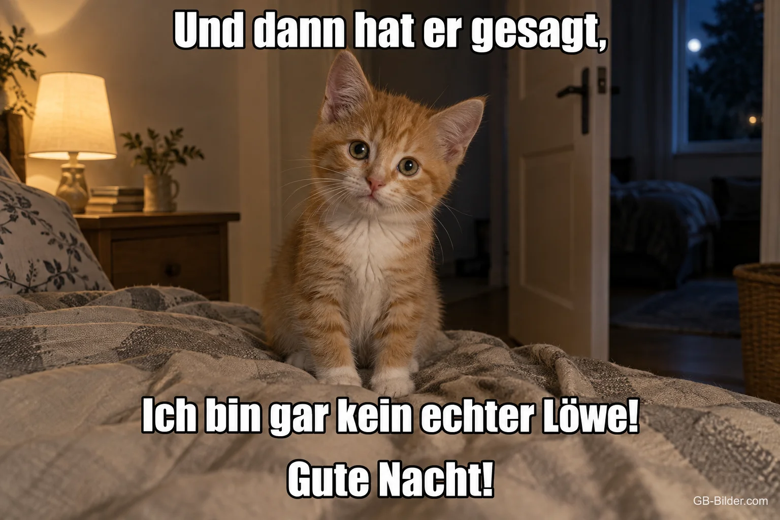 Trauriges Kätzchen auf dem Bett, Text: Und dann hat er gesagt, ich bin gar kein echter Löwe! Gute Nacht!