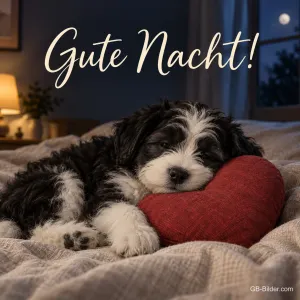 Schlafender Welpe mit Herzkissen, Text: Gute Nacht!