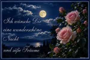 Rosa Rosen vor einem See im Vollmond, Text: Ich wünsche Dir eine wunderschöne Nacht und süße Träume