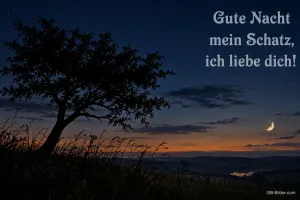 Baum vor Abendhimmel mit Mondsichel, Text: Gute Nacht mein Schatz, ich liebe dich!