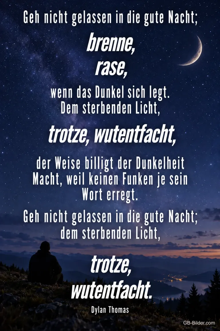 Mensch unter der Milchstraße, Gedicht: Geh nicht gelassen in die gute Nacht – Dylan Thomas
