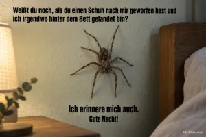 Große Spinne an der Schlafzimmerwand, lustiger Gute-Nacht-Spruch