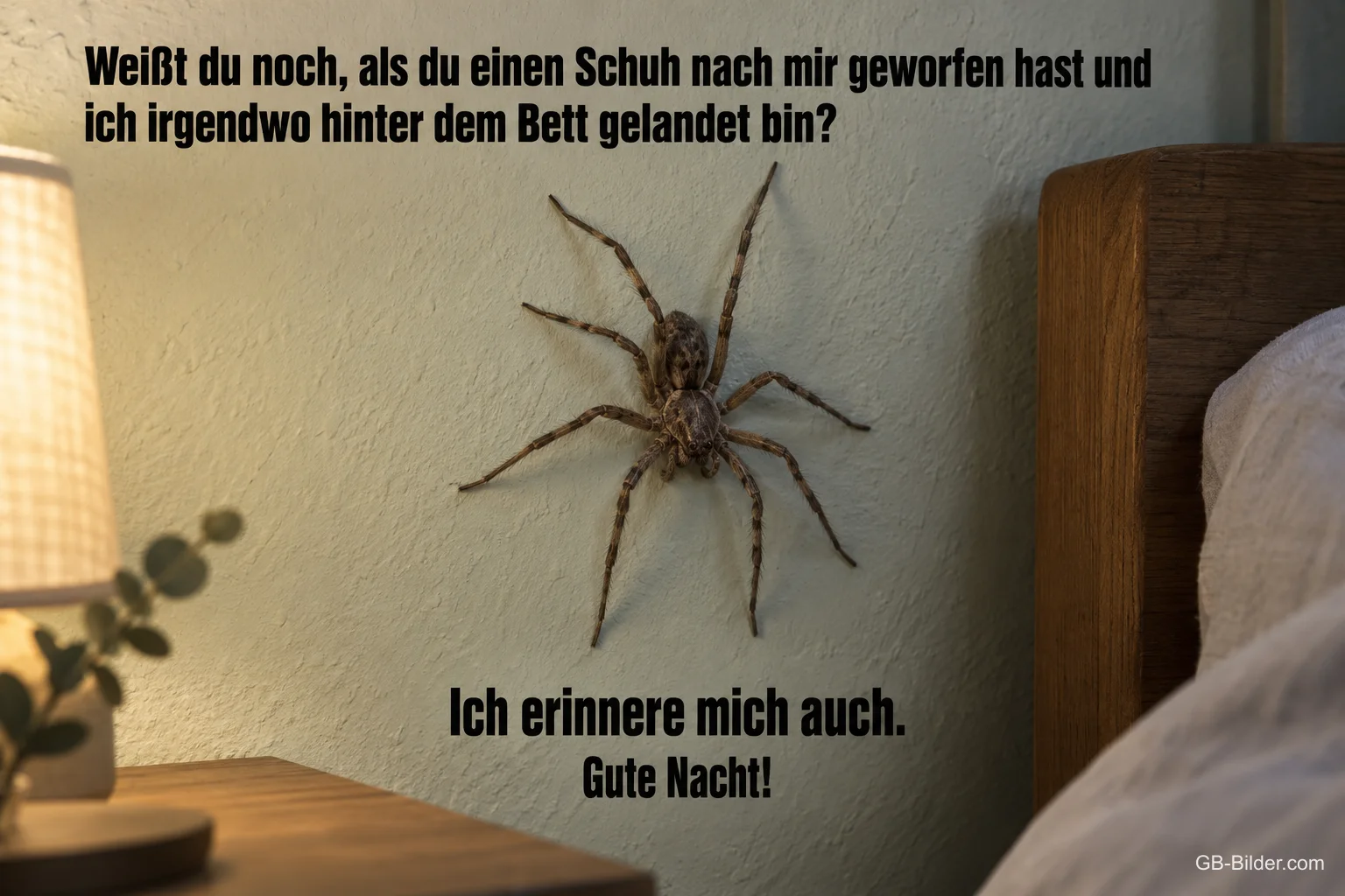 Große Spinne an der Schlafzimmerwand, lustiger Gute-Nacht-Spruch