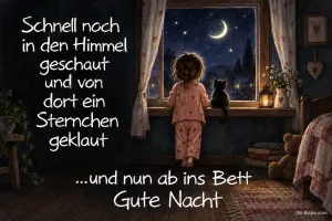 Mädchen im Schlafanzug schaut mit einer Katze aus dem Fenster, Text: Schnell noch in den Himmel geschaut und von dort ein Sternchen geklaut …und nun ab ins Bett Gute Nacht