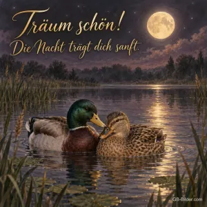 Stockenten bei Vollmond, Text: Träum schön