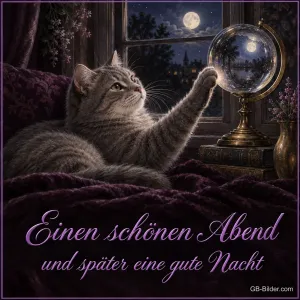 Graue Katze greift nach einer Glaskugel am Fenster bei Vollmond, Text: Einen schönen Abend und später eine gute Nacht