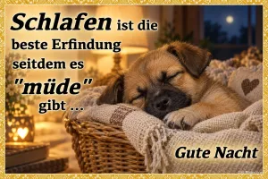 Welpe schläft in einem Weidenkorb, Text: Schlafen ist die beste Erfindung seitdem es „müde“ gibt … Gute Nacht